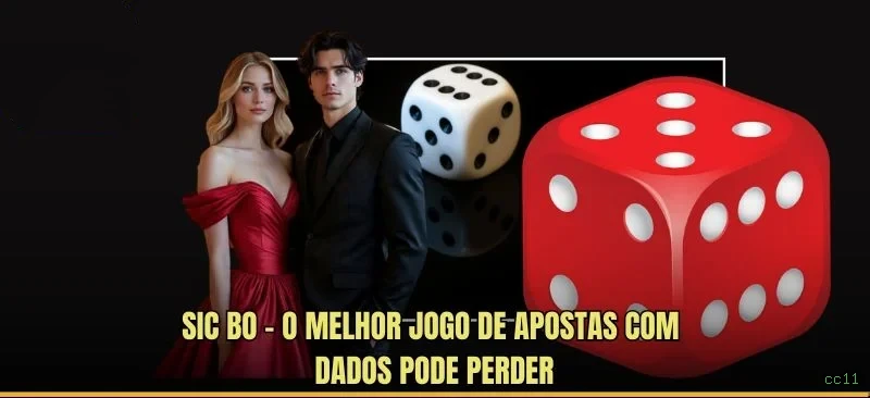 cc11 Segurança