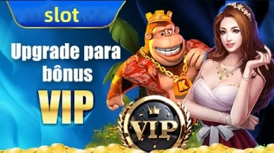 cc11 Plataforma