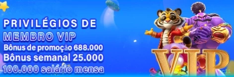 cc11 Plataforma